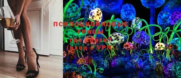 стафф Аркадак