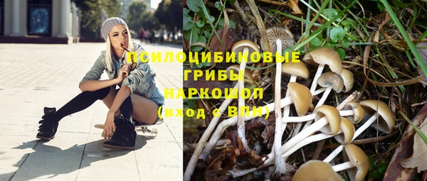 ALPHA PVP Армянск