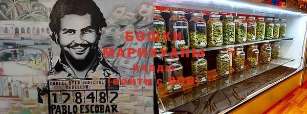 стафф Аркадак