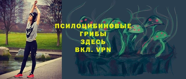 стафф Аркадак