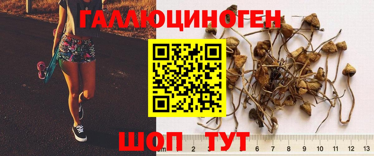 Краснотурьинск  Галлюциногенные грибы ЛСД  Вход с VPN 