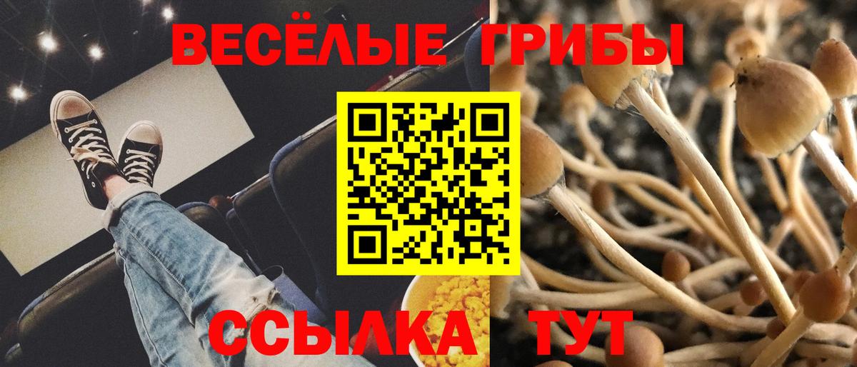 Псилоцибиновые грибы Cubensis Краснотурьинск